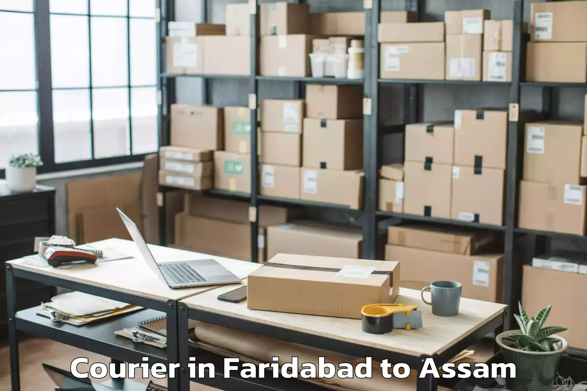 Professional Faridabad to Jorhat West Courier